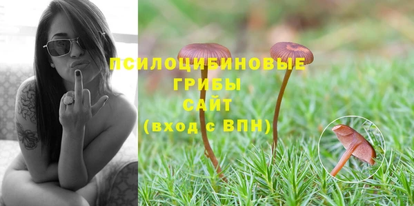spice Балабаново