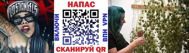 даркнет наркотические препараты  где найти наркотики  Новоульяновск  Бошки Шишки марихуана 